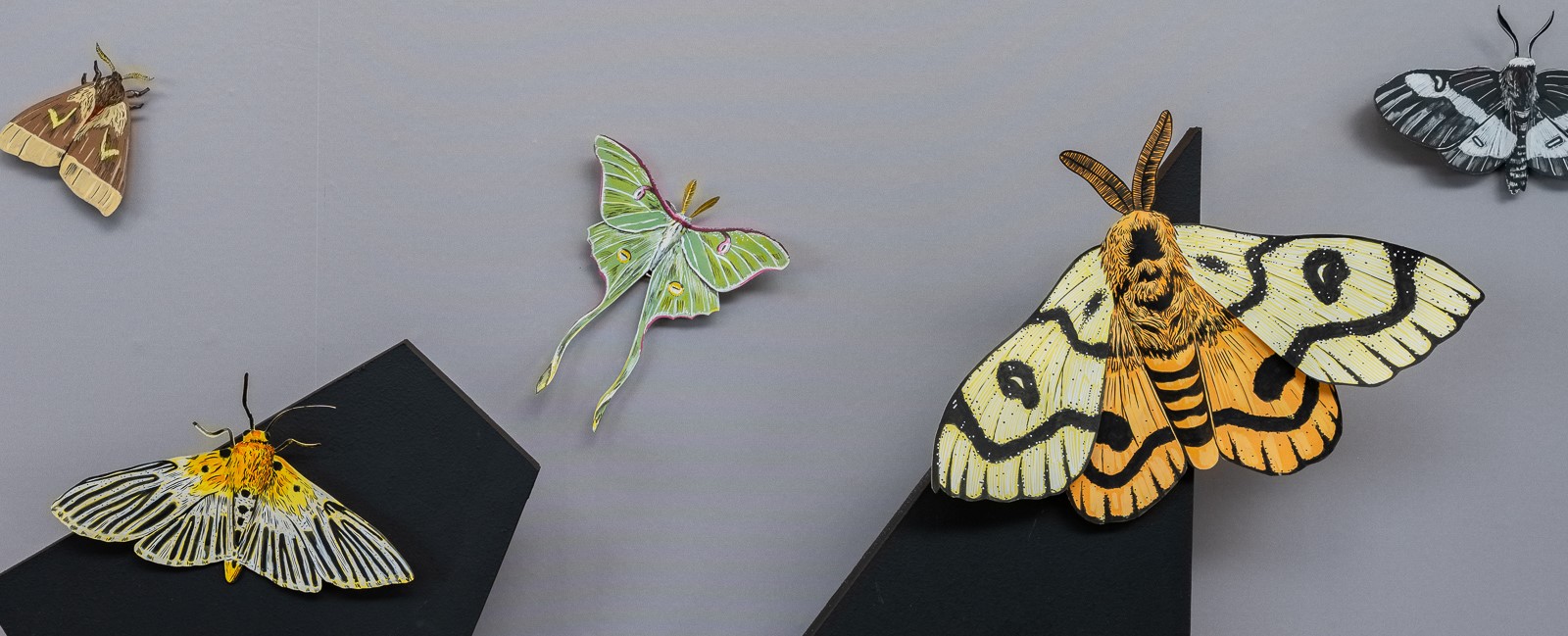 OPENS Gallery Presents: Preston Graves & Chris Knight