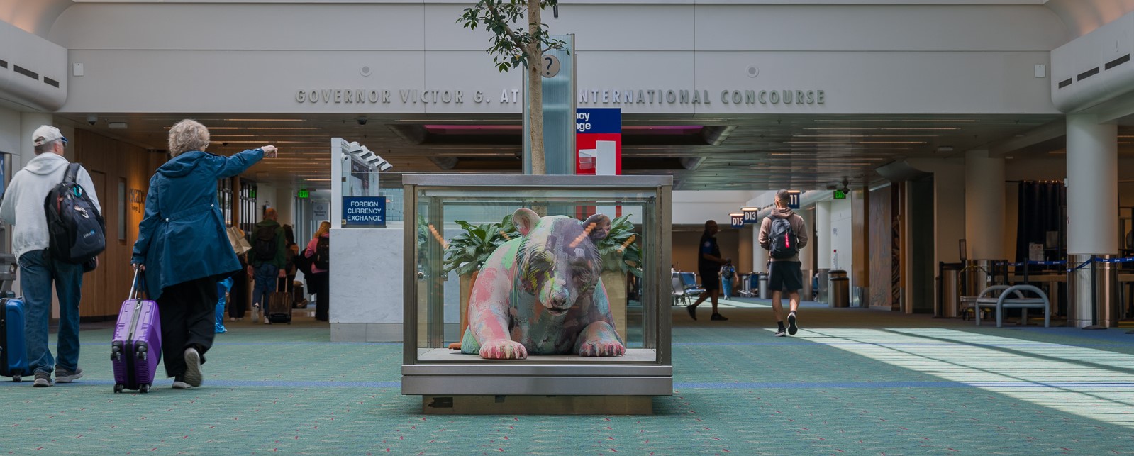 #slidecaption1 A Colorful Bear Emerges from Hibernation in Concourse D